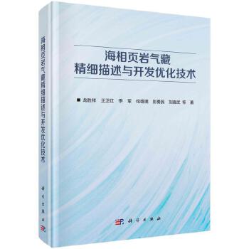 海相頁巖氣藏精細(xì)描述與開發(fā)優(yōu)化技術(shù) 科學(xué)出版社